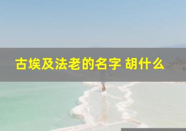 古埃及法老的名字 胡什么